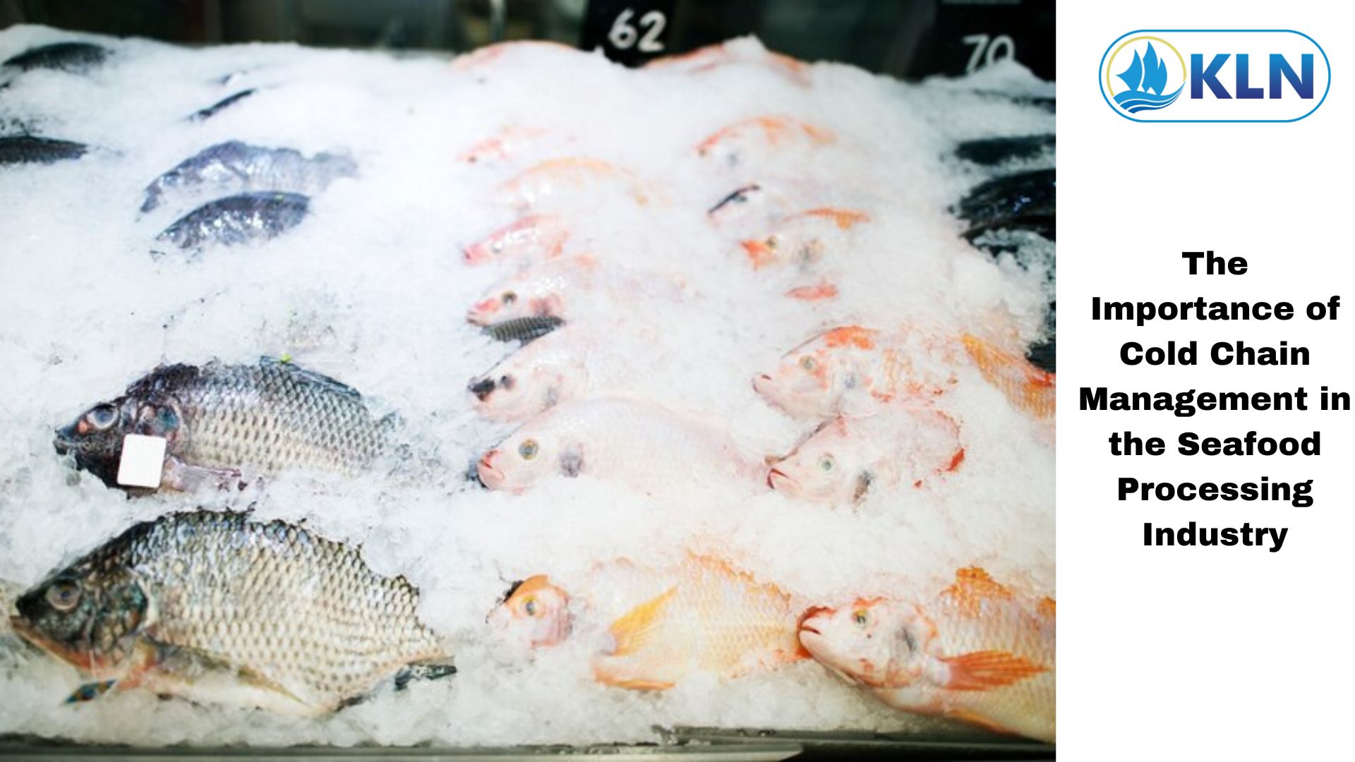 The Importance of Cold Chain Management in the Seafood Processing Industry